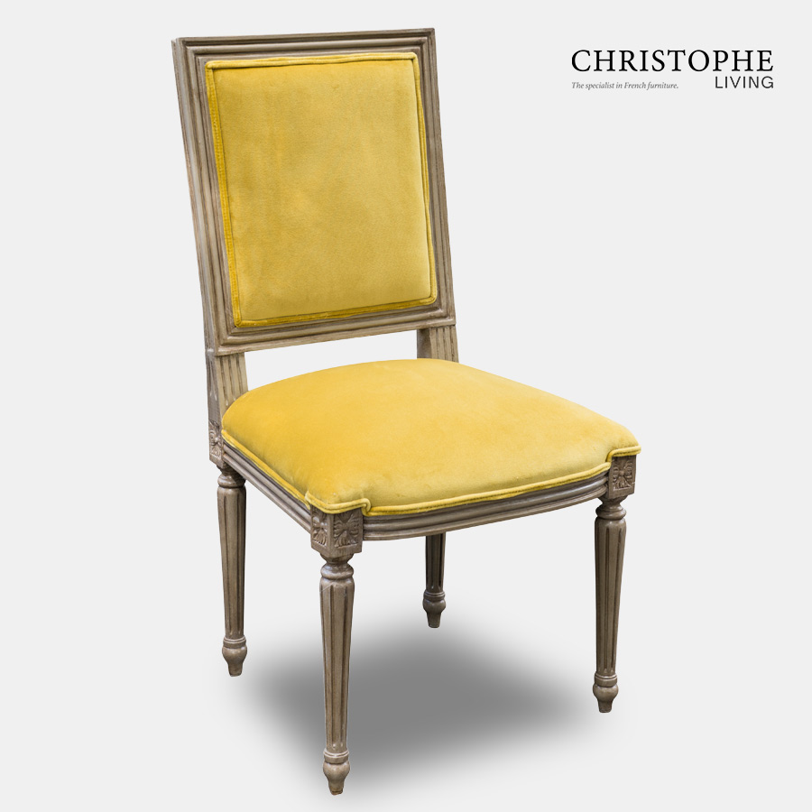 Louis XVI reproduction square back dining chair in special antique finish with yellow velvet and piping.
