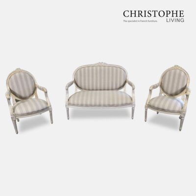 French Louis settee and salon chairs