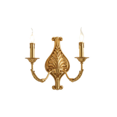 Delphina Elegant Leaf Motif 2-Light Wall Lamp in Brass