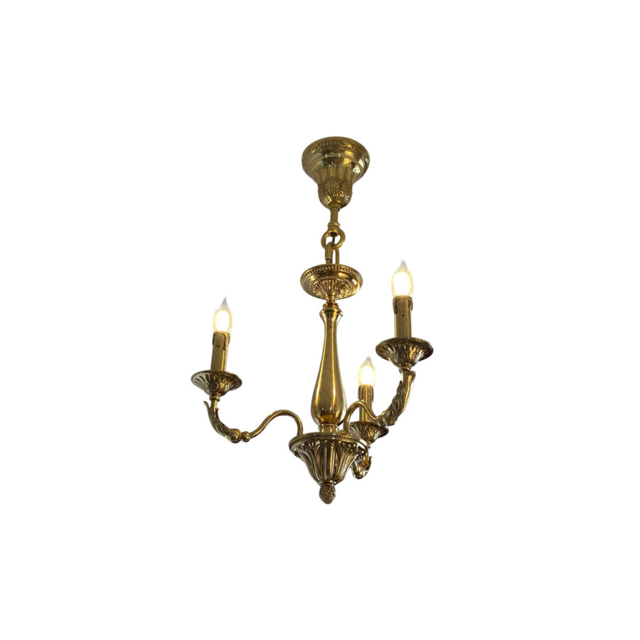 Mathilde Elegance 3-Light Chandelier with Brass Arm and Leaf Motif in Antique Brass