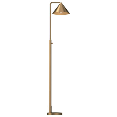 Blackthorn Matte Contemporary Floor Lamp Brushed Gold