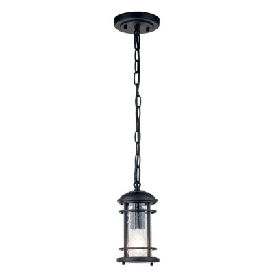 Cape Kestrel Transitional Chain Lantern Textured Black