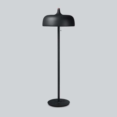 Chesterhaven Contemporary Dome Floor Lamp Matt Black With Timber Detail