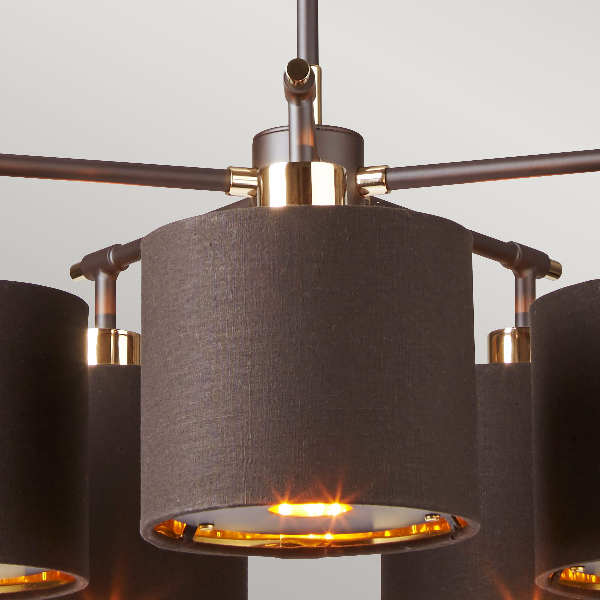 Fenchurch Transitional 5 Light Chandelier Brown and Polished Brass Fenchurch Transitional 5 Light Chandelier Brown and Polished Brass