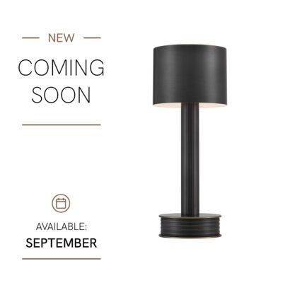 Ferndown Cordless Bronze Table Lamp