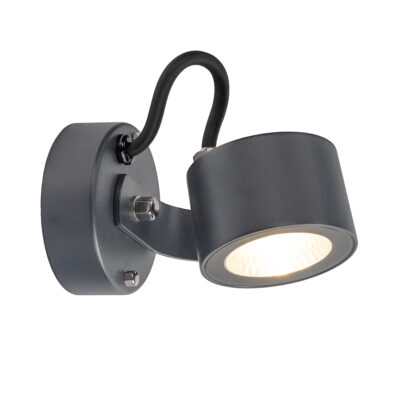 Fernhill Grove Modern Outdoor Wall Light Graphite