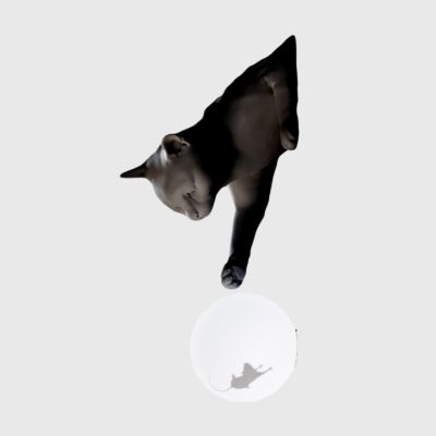 Merton Sculptural Cat Wall Light Matte Black And White