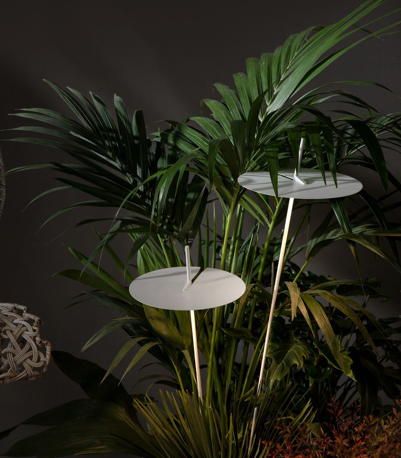 Somerfield Contemporary Spike Light Disc Top Somerfield Contemporary Spike Light Disc Top