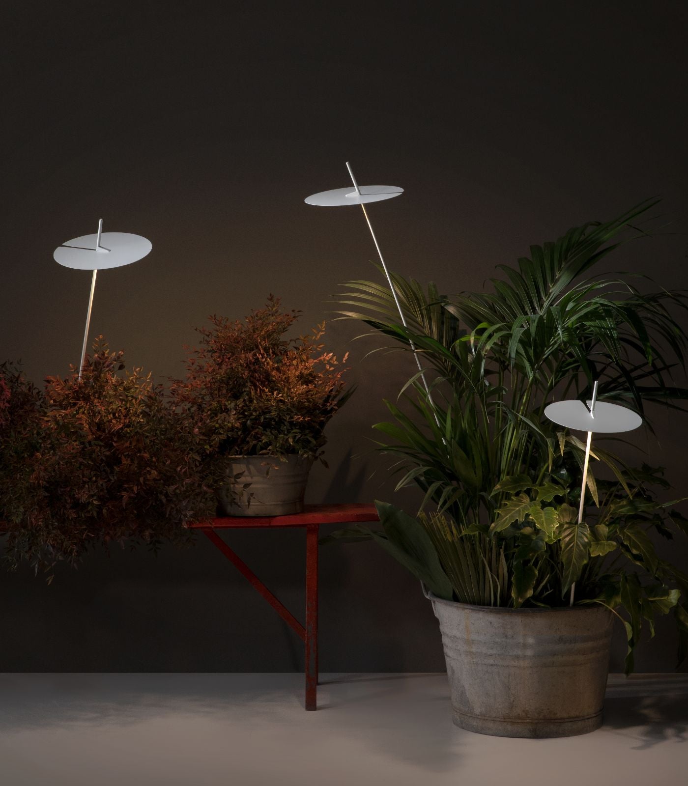 Somerfield Contemporary Spike Light Disc Top Somerfield Contemporary Spike Light Disc Top