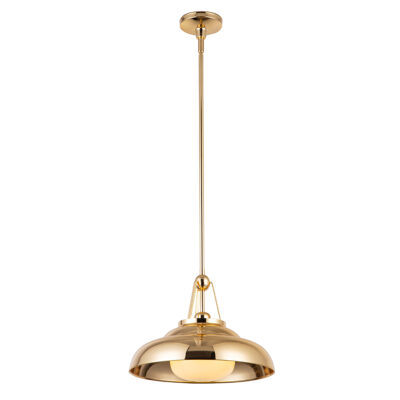 Tarragon Grove Industrial Dome Pendant Polished Brass