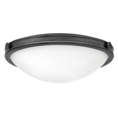 Thurloe Contemporary Ceiling Flush Black Oxide