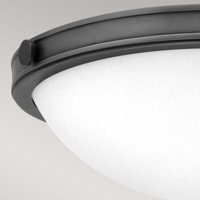 Thurloe Contemporary Ceiling Flush Black Oxide — detail view