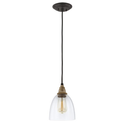 Willowmere Union Country Glass Dome Pendant in Driftwood